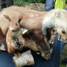 Bilder vom Wandertag