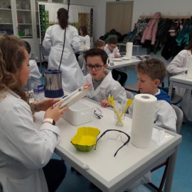 MINT-Besuch: Die Klasse 4a experimentiert in der Maria-Ward-Schule