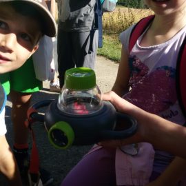 Wiesenexkursion der 1b am 02.07.18