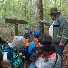 Die Klasse 3a im Guttenberger Wald