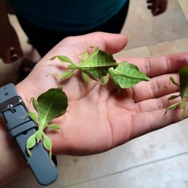 Jugendarbeit macht Schule – AG Natur mit Dr. Mahsberg begeistert unsere Schulkinder Jugendarbeit macht Schule – AG Natur mit Dr. Mahsberg begeistert unsere Schulkinder