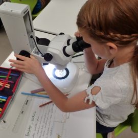 AG Forschen ein voller Erfolg! AG Forschen ein voller Erfolg!