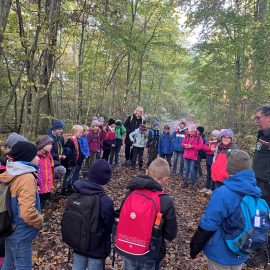 Klasse 3b im Guttenberger Wald Klasse 3b im Guttenberger Wald