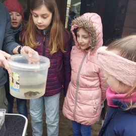 Unterrichtsgang  der Klassen 3b, 3c und 4b zu den Teichen der Familien Hench und Metzger