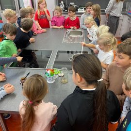 Theorie und Praxis oder Schule mit allen Sinnen